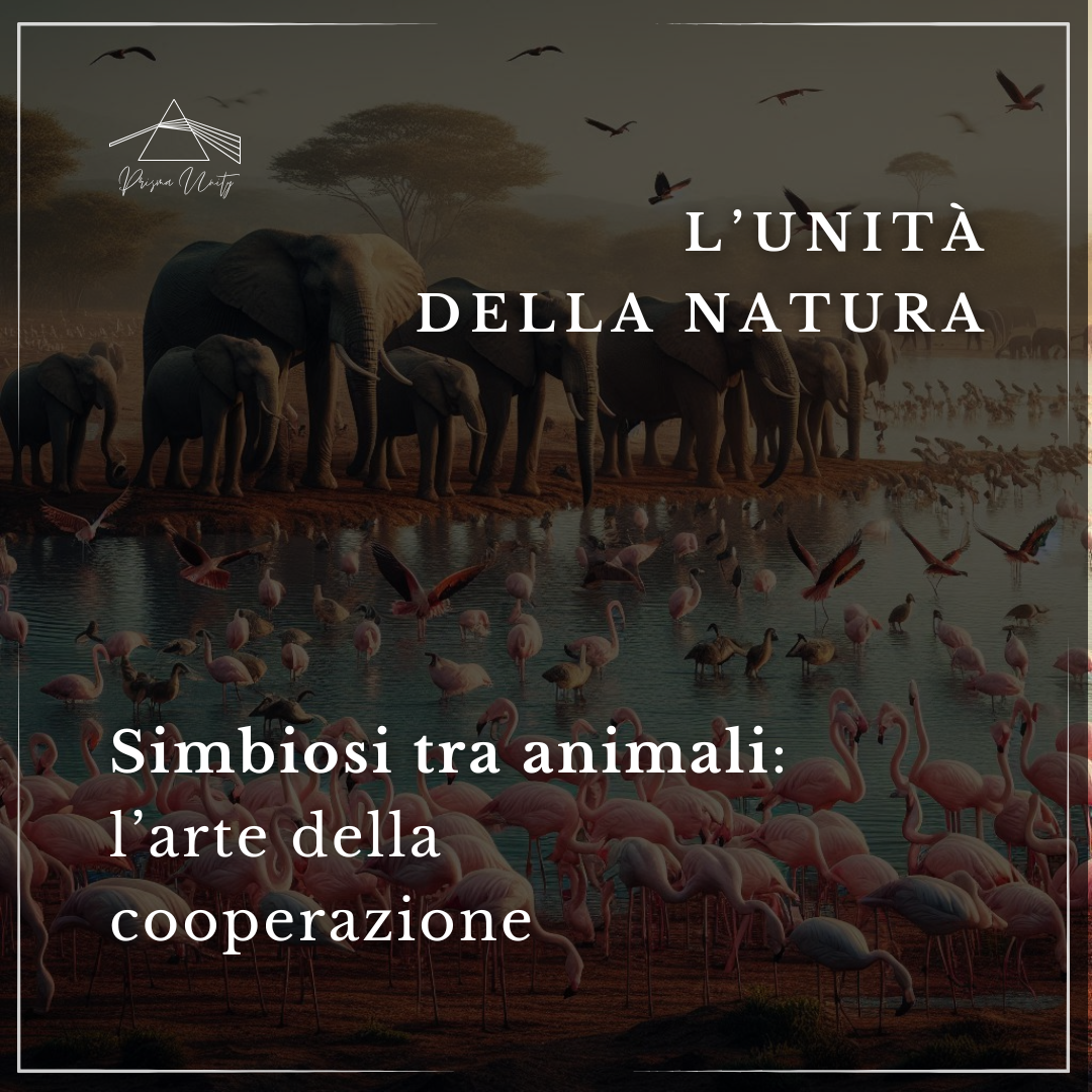 la cooperazione tra animali