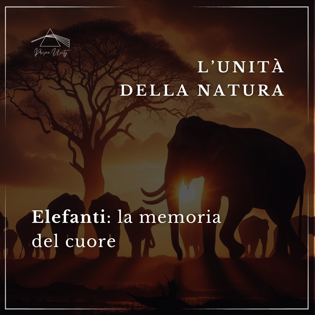 l'unione tra gli elefanti