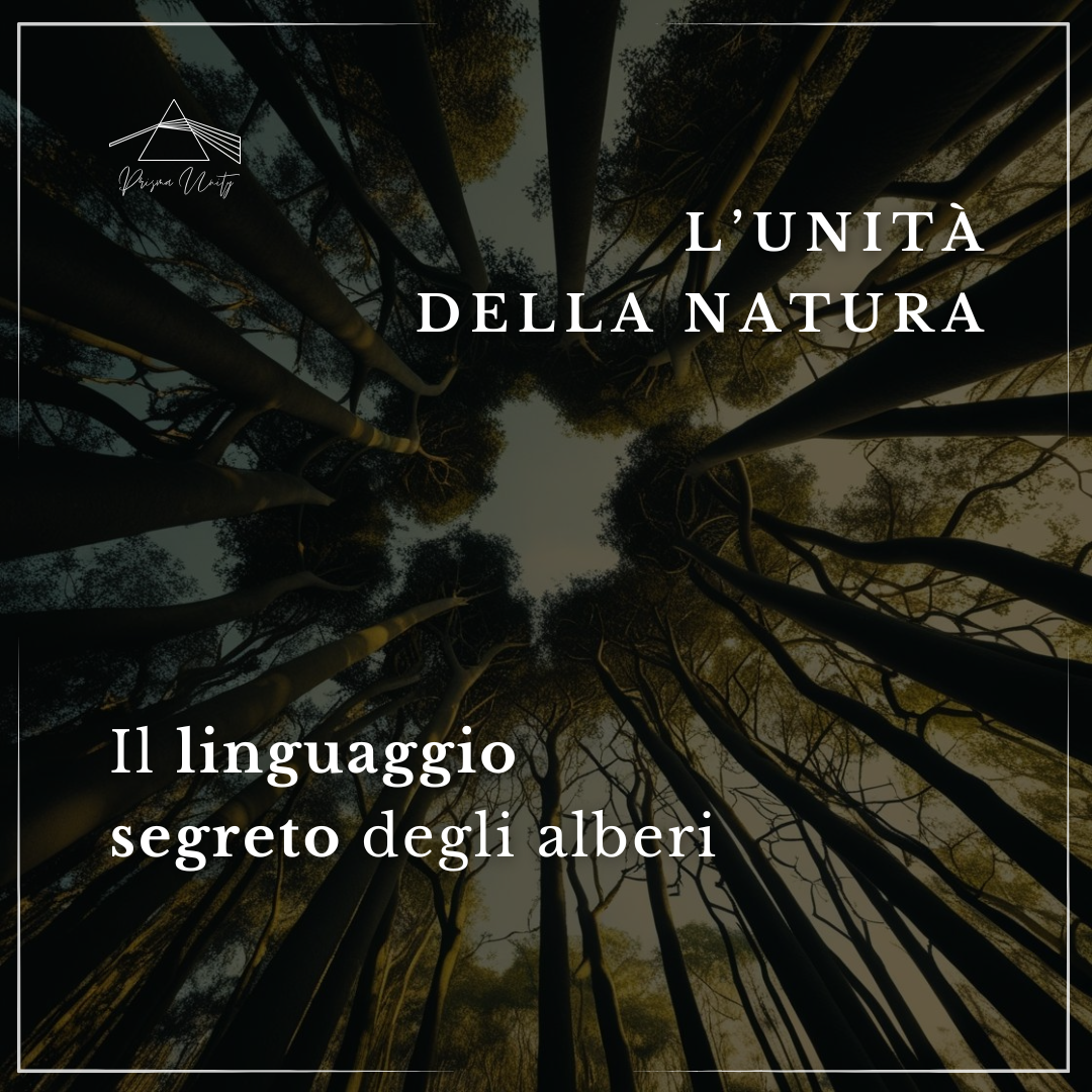 Il Linguaggio degli Alberi: la Foresta come Comunità Viva